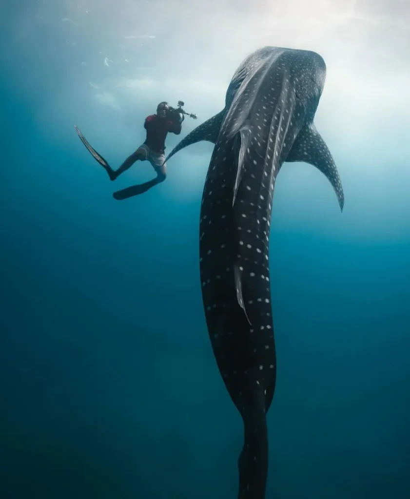 Ningaloo Reef