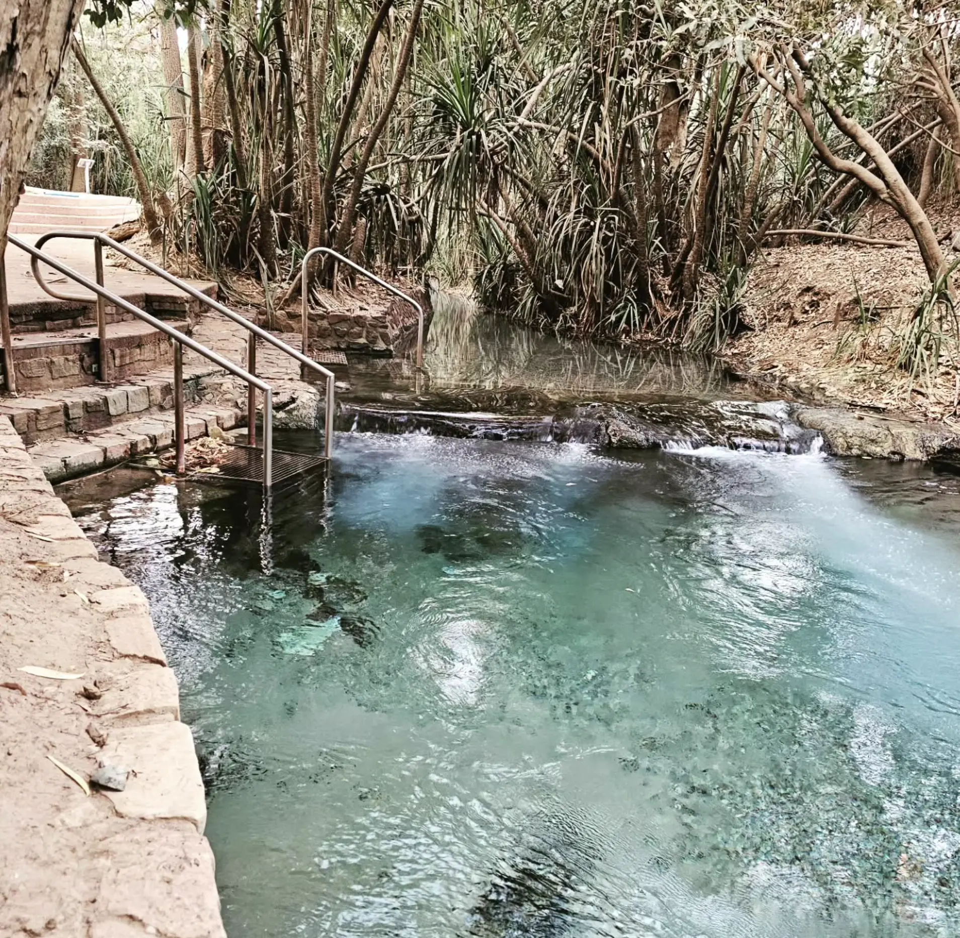 Mataranka Hot Springs