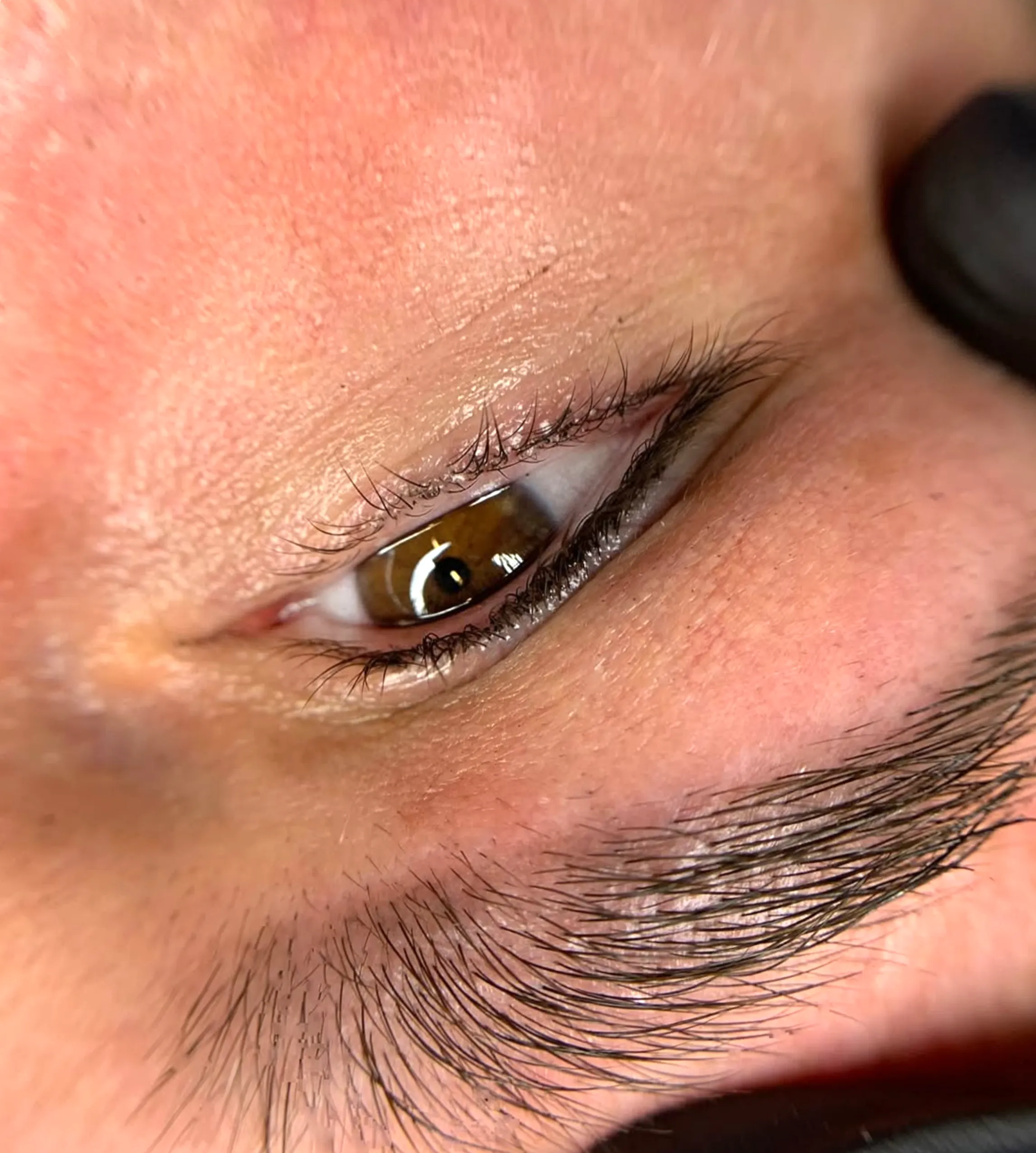 lash regrowth after extensions