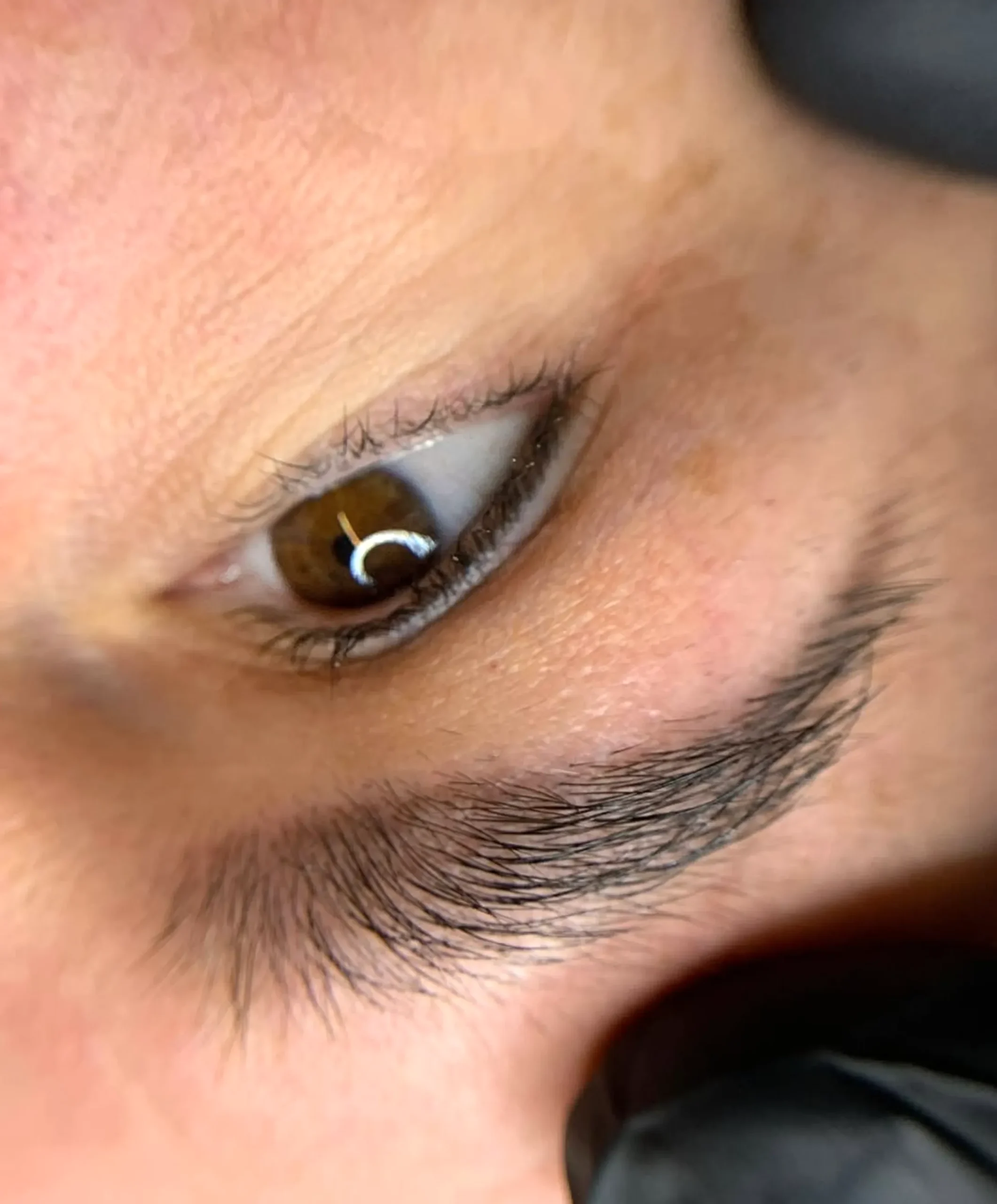 natural lashes grow back