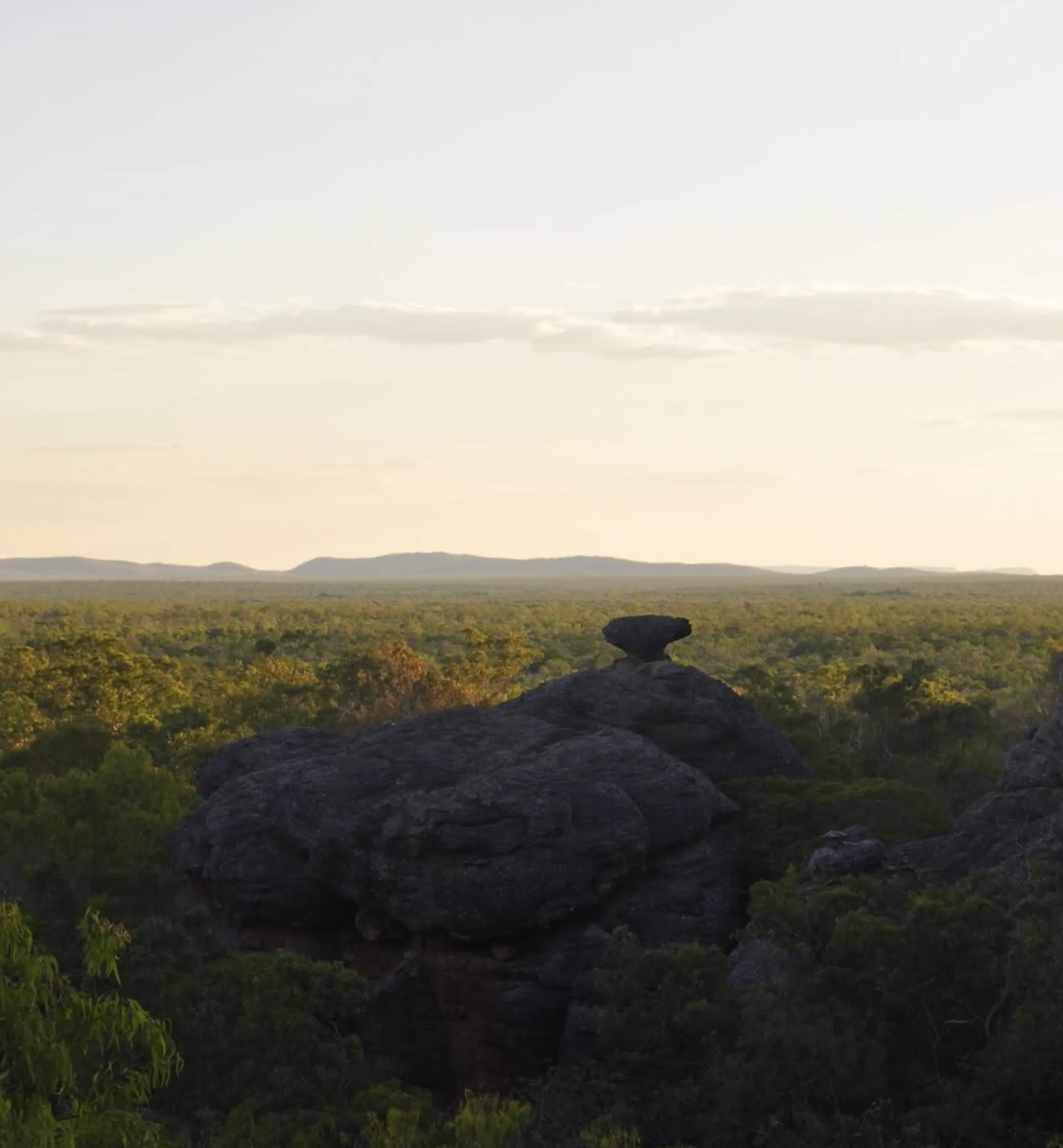 Kakadu wet season risks